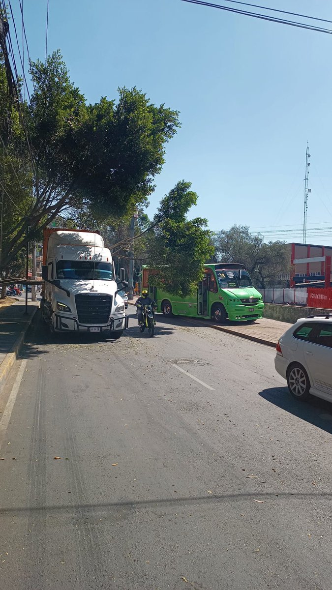 @sangrepura tweet media