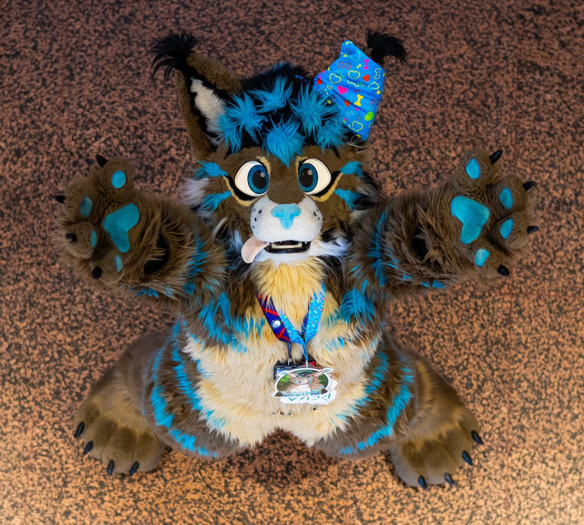 Laako 🇦🇹🔜 🇮🇹Furizon/🇦🇹AWO/🇫🇷FBL/🇩🇪EAST? tweet media