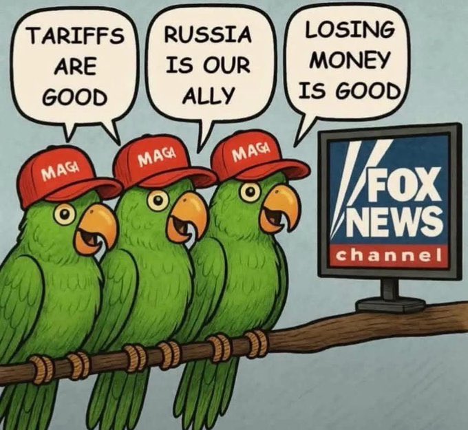 whopsauce13's tweet image. So are fuck dumb #Magat “patriots” going to insist on refunds for unconstitutional taxes/tariffs? Or are they going to bend over like the unpatriotic retard pussies they are and thank Godking for the un-American, un-lubed fucking? #TrumpTariffs #MagaCult