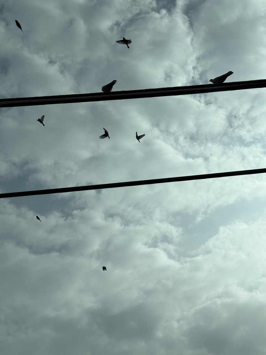 How many ढुकुर ?