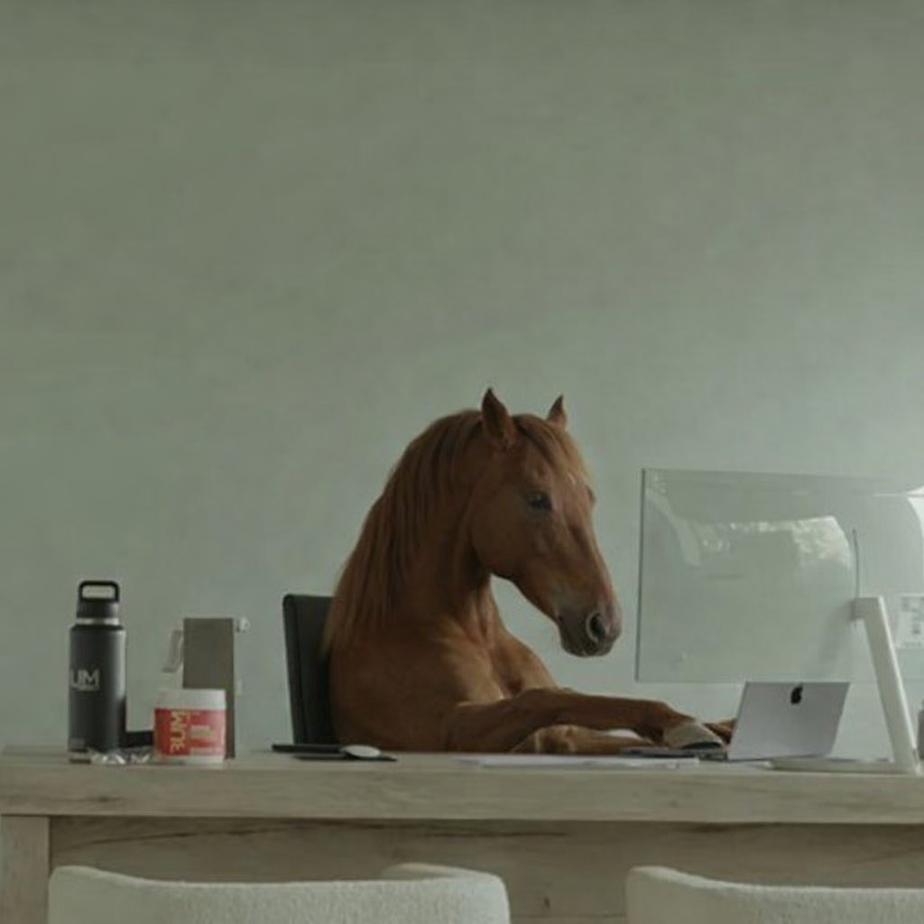 runner.rodeo tweet media