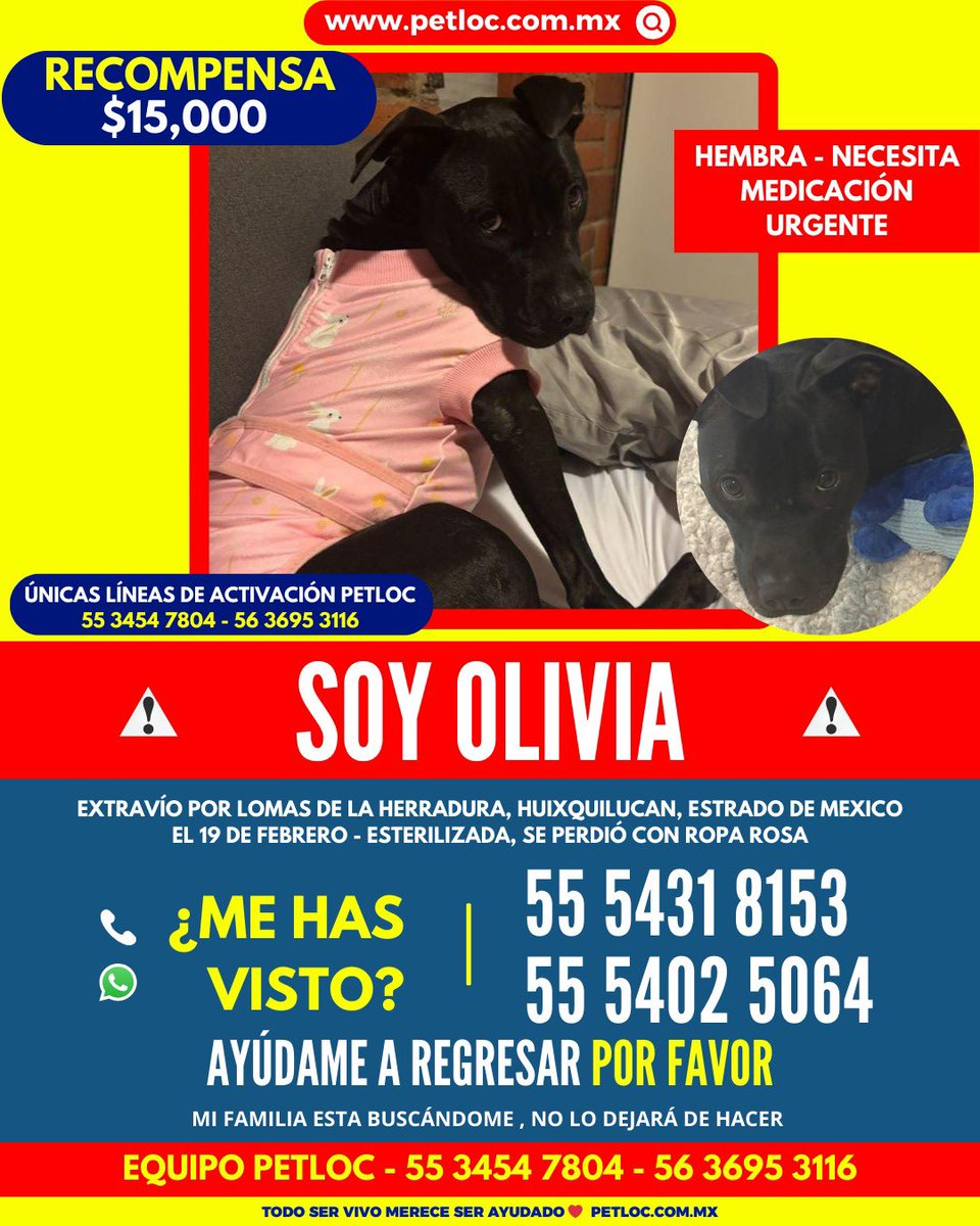 Andy_Alba's tweet photo. Ayuda a encontrar a Olivia POR FAVOR. https://t.co/RcAdo9b96b