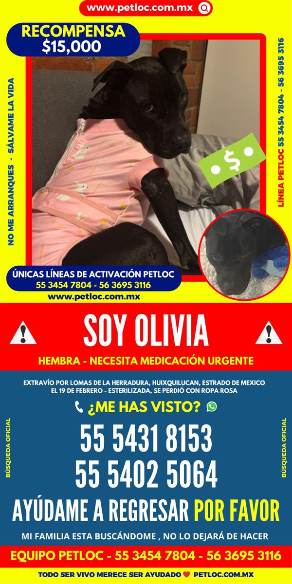 Andy_Alba's tweet photo. Ayuda a encontrar a Olivia POR FAVOR. https://t.co/RcAdo9b96b