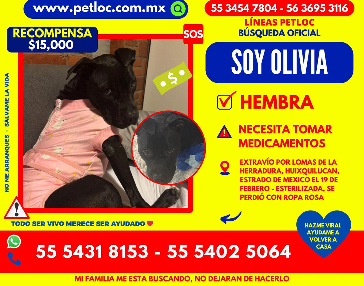 Ayuda a encontrar a Olivia POR FAVOR.