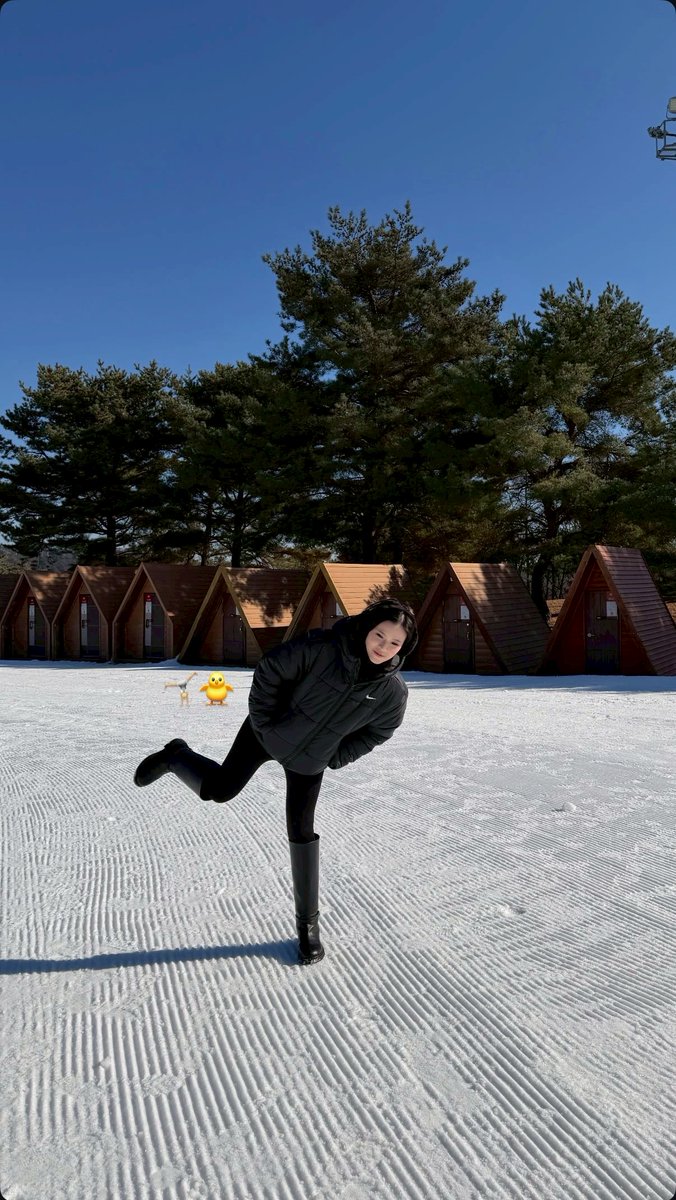 Out Of Context Lyn tweet media