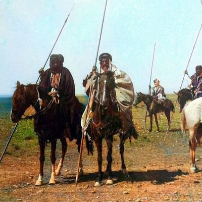 أورنس العنزي tweet media