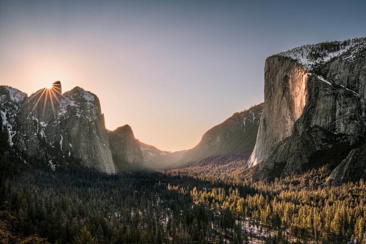 Lee Amber - Photography ☕️📸 tweet media