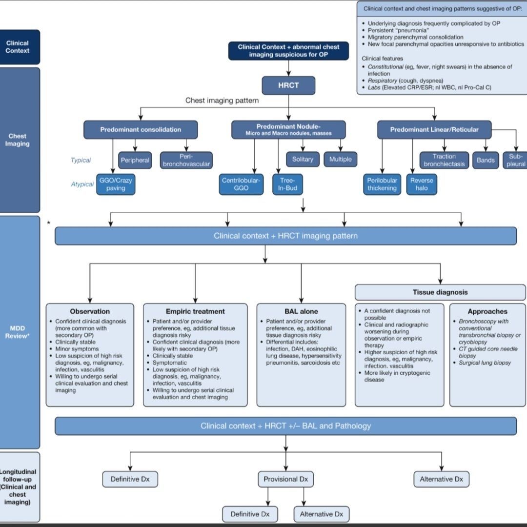 🫁📊 𝗡𝗲𝘂𝗺𝗼𝗻𝗶́𝗮 𝗢𝗿𝗴𝗮𝗻𝗶𝘇𝗮𝗱𝗮 (𝗢𝗣) — 𝗲𝗻𝗳𝗼𝗾𝘂𝗲 𝗱𝗶𝗮𝗴𝗻𝗼́𝘀𝘁𝗶𝗰𝗼 𝗽𝗿𝗮́𝗰𝘁𝗶𝗰𝗼
⬇️⬇️⬇️⬇️ 

🎯 𝙎𝙤𝙨𝙥𝙚𝙘𝙝𝙖 𝙘𝙡𝙞́𝙣𝙞𝙘𝙖
🌡️ “Neumonía” persistente o migratoria
🧫 No responde a antibióticos
📈 PCR/VSG ↑ con PCT normal
😮‍💨 Tos + disnea ±