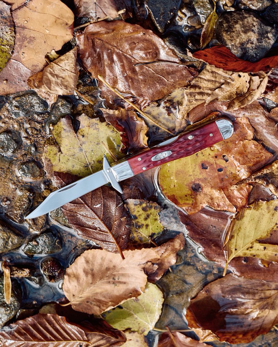 Case Knives tweet media