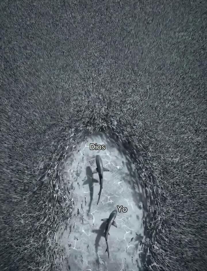 Porque estás tan seguro que vas a poder?