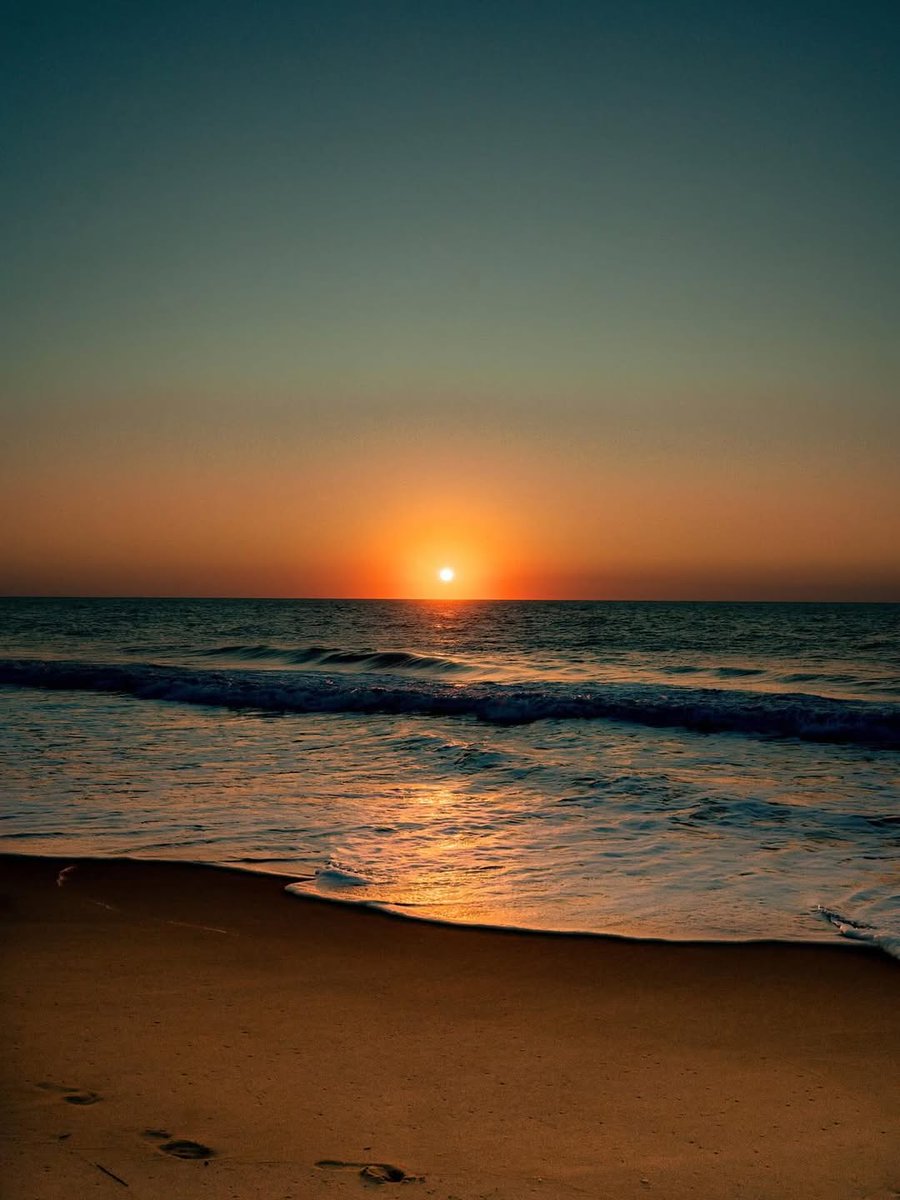 Ocean City, Maryland tweet media