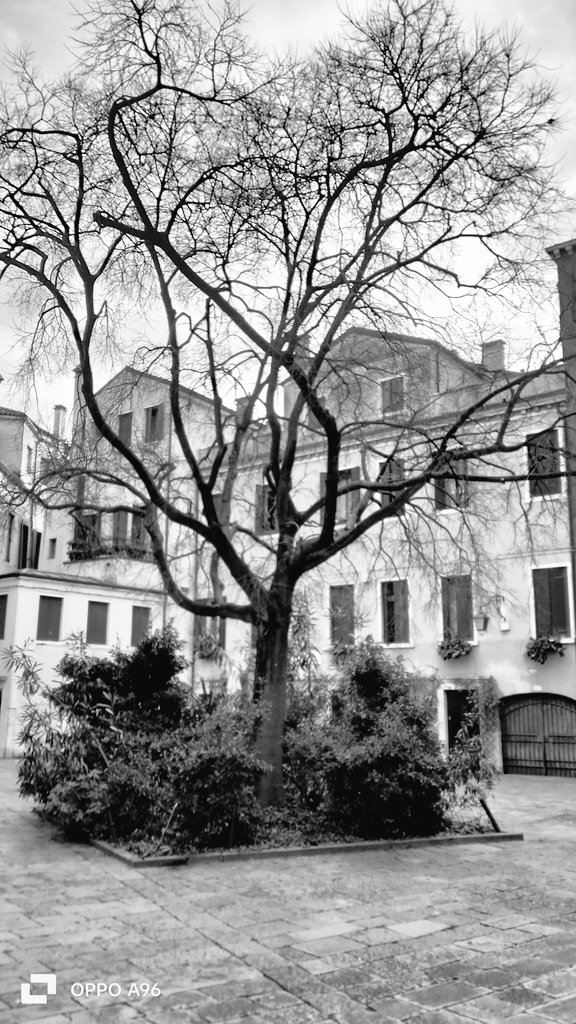 È di sera che la solitudine morde di più.