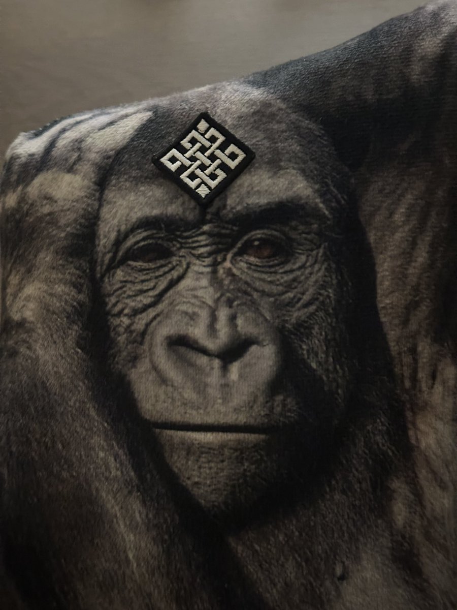 krwdigger (❖,❖) tweet media