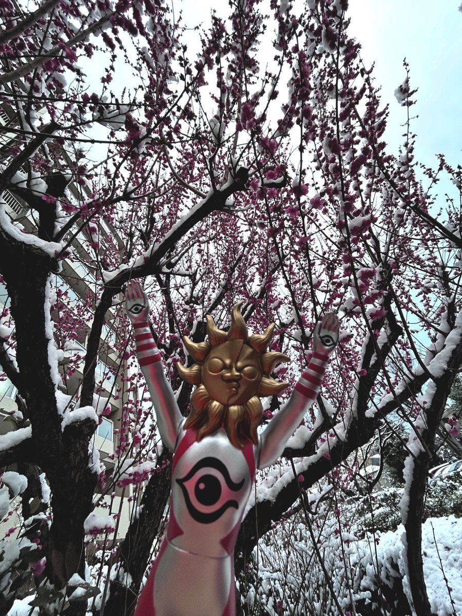 皆さん、 どうして、こう、無気力で、 筋をとおさないのだろう