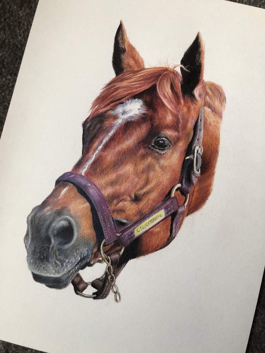 Finished this colored pencil drawing of the famous race horse Secretariat! Really beautiful coat, really fun to draw.