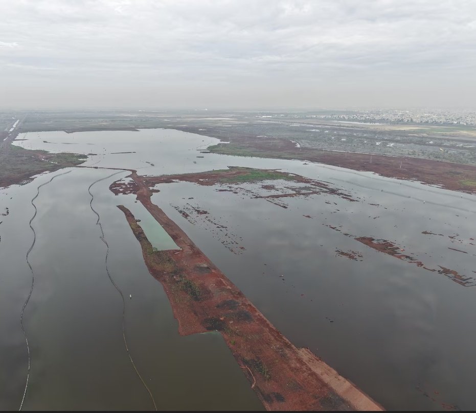 Lilia Aguilar Gil tweet media