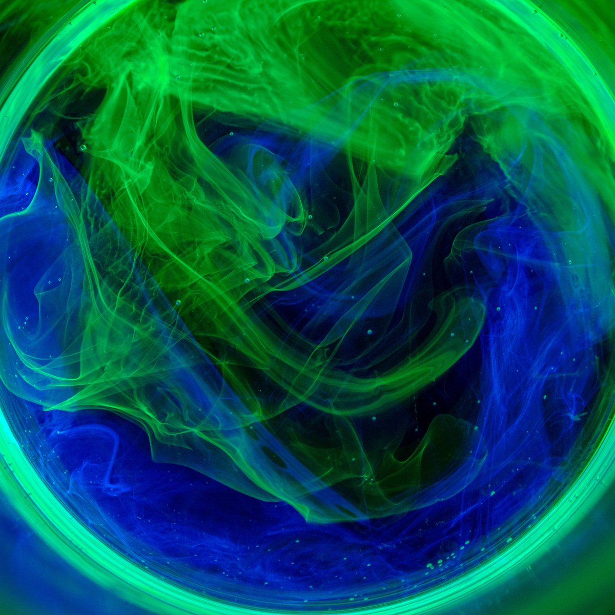 Quinten Akkerman tweet media