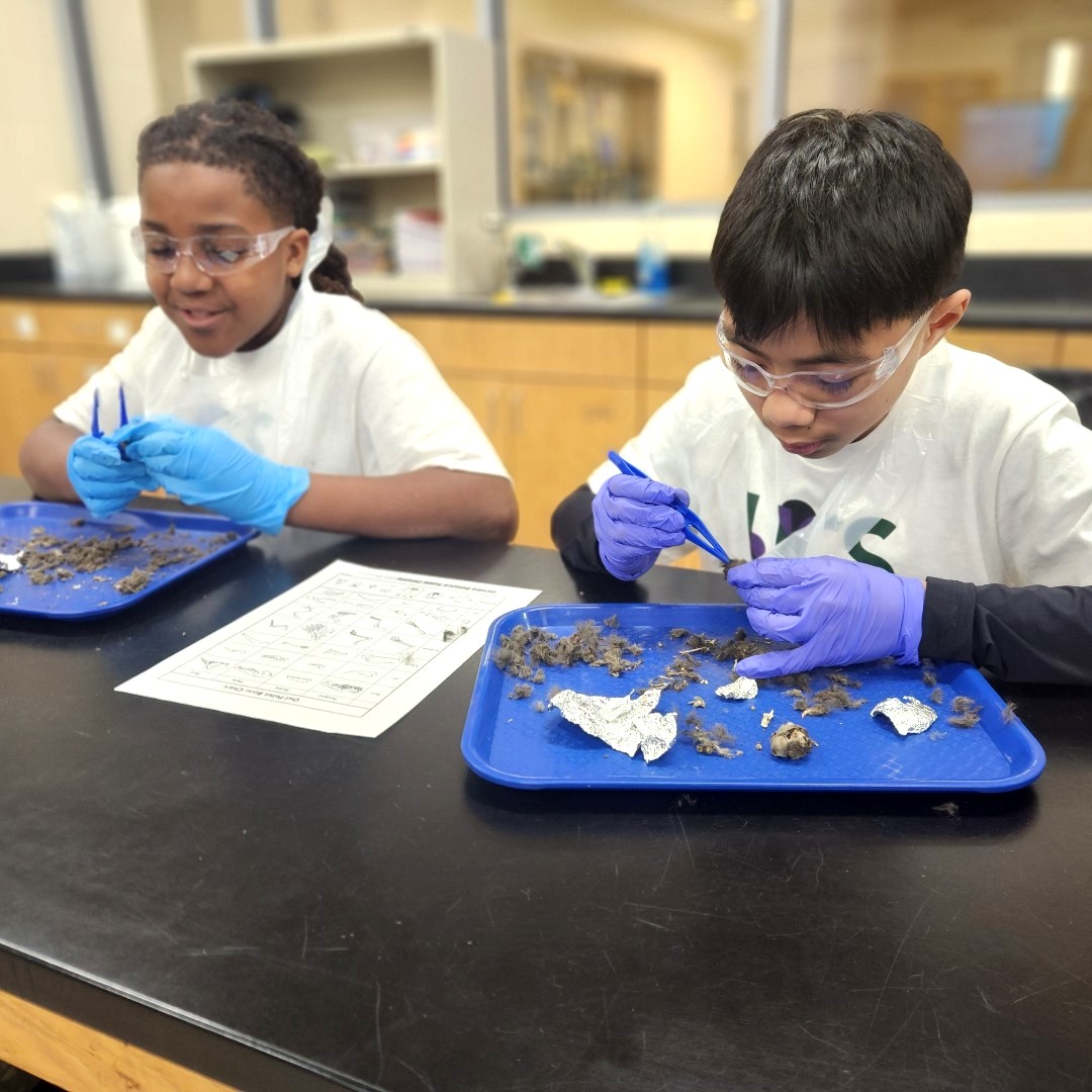 UrbanCommunitySchool tweet media