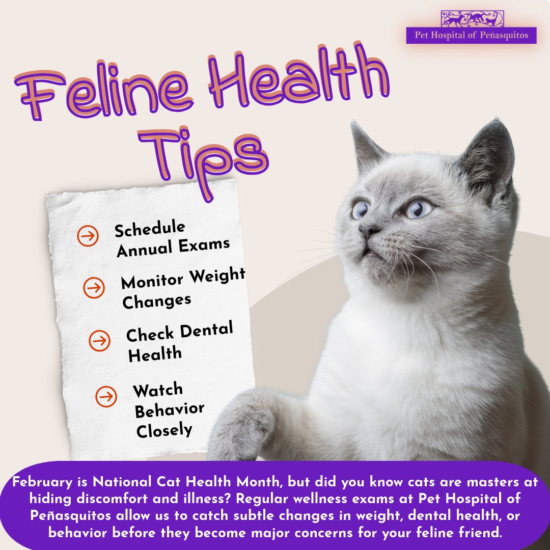 phpq92129's tweet image. Did you know a 1lb weight loss in a cat is like a human losing 20lbs? 🐱 Cats hide pain well! For National Cat Health Month, let our Fear Free vets help. Catch changes early!

📞 (858) 484-3490

#NationalCatHealthMonth #FelineHealth #FearFree #SanDiegoPets
