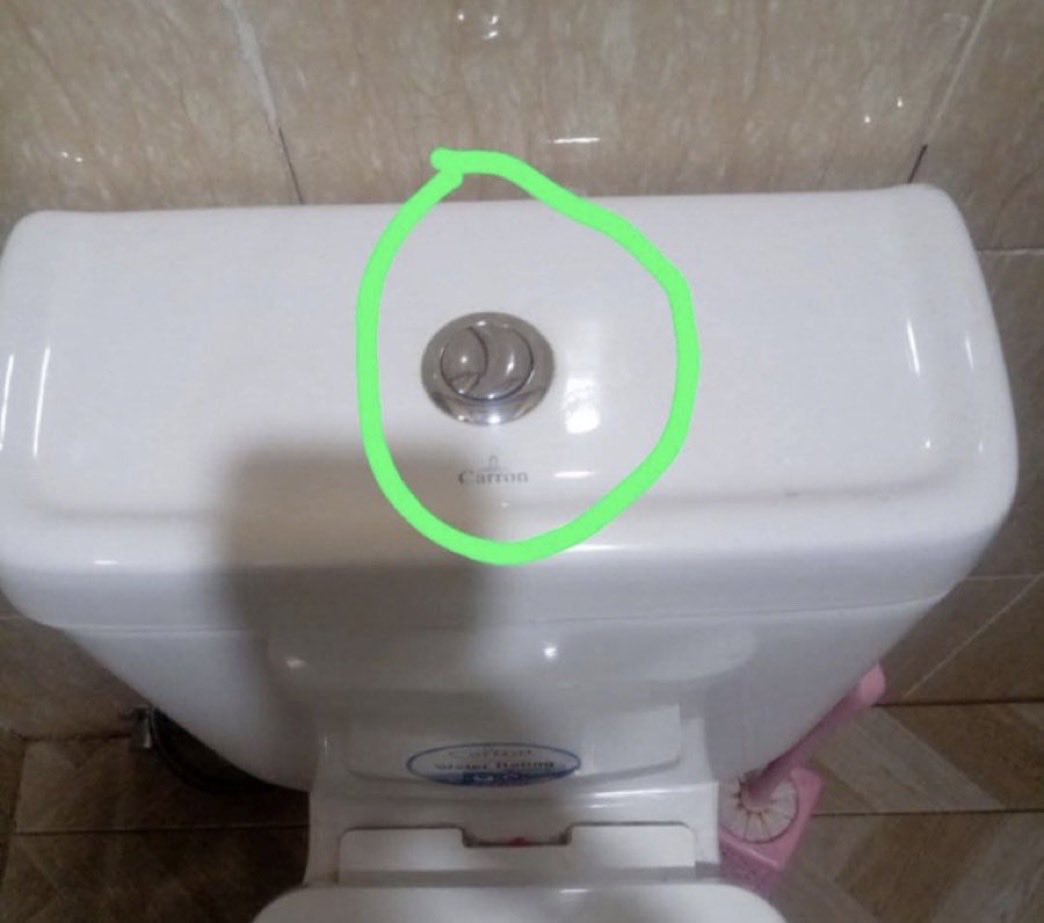 Shitpost do pinto tweet media