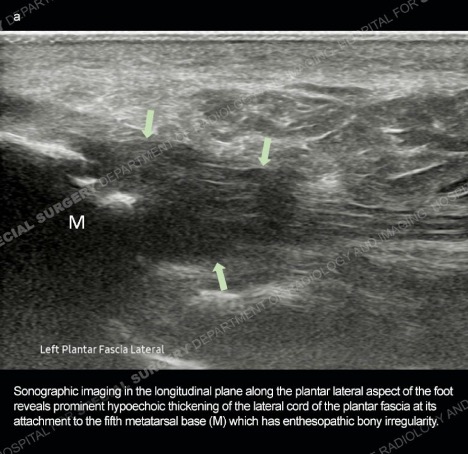 HSS Education Institute tweet media