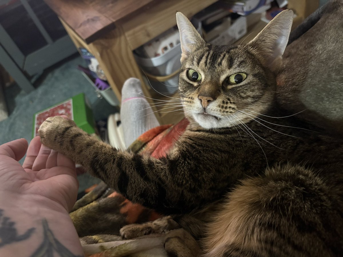 Kim Gilmore tweet media