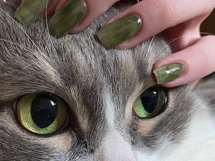 ᅠ ᅠ (@greendreaams) on Twitter photo 