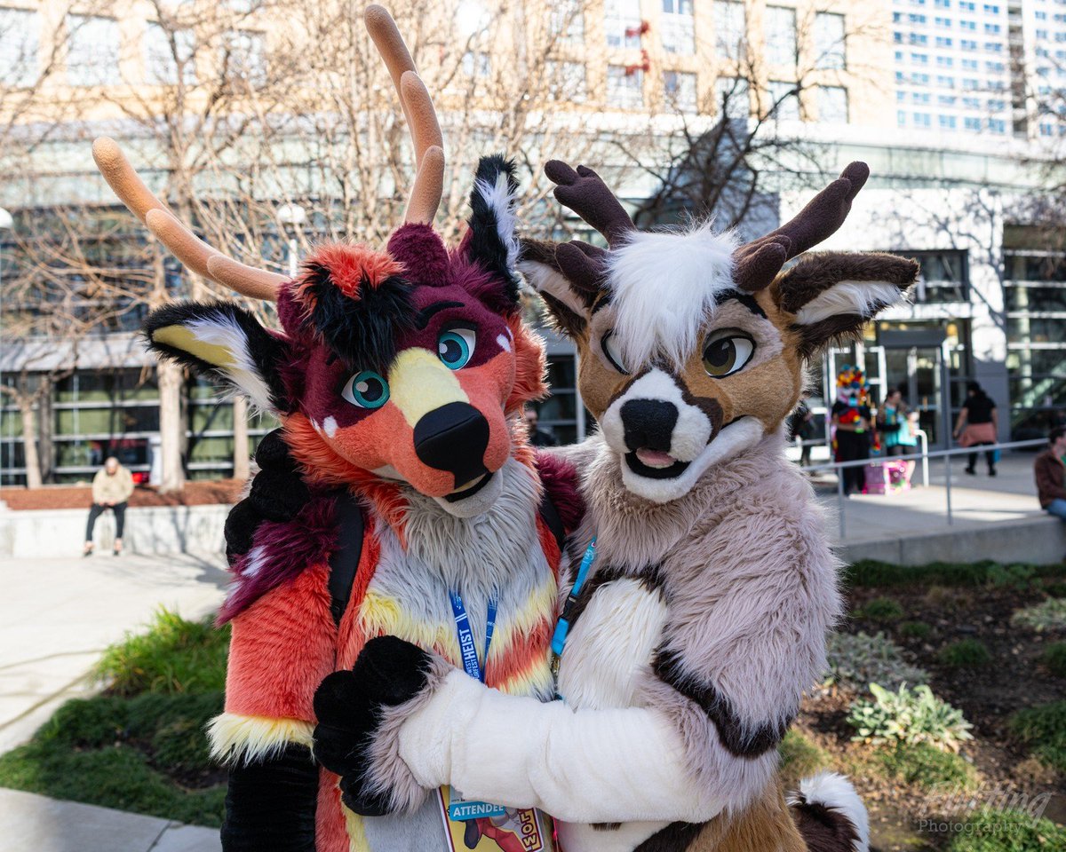 Dayglow 🔜 LVFC tweet media