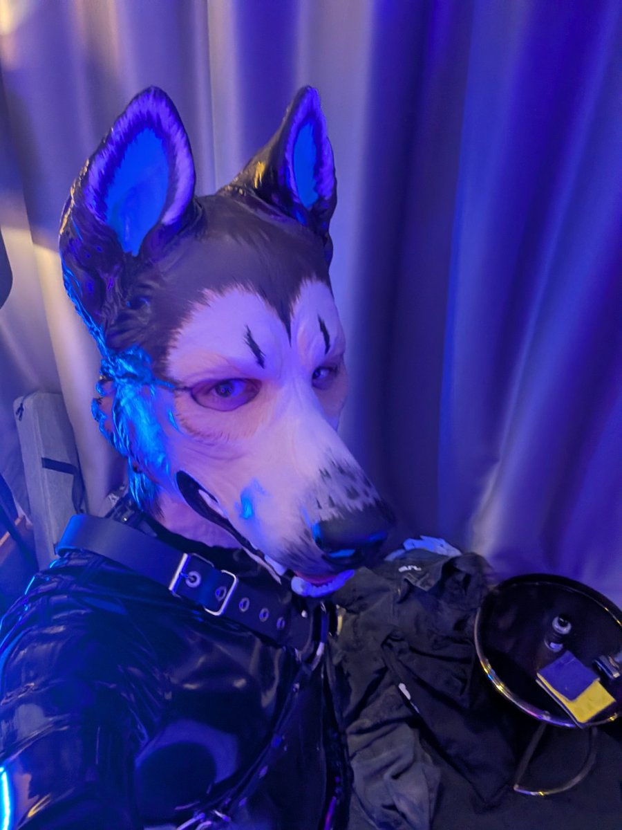 skitch ⚠️🔜CFZ tweet media