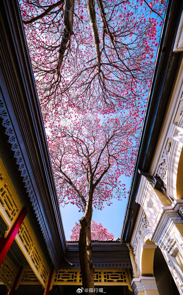 ᅠ ᅠ (@greendreaams) on Twitter photo 