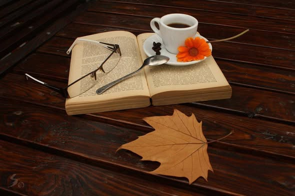 Aşk sen bana bir adım gel,
ben sana koşarım.   #zerrintayfur