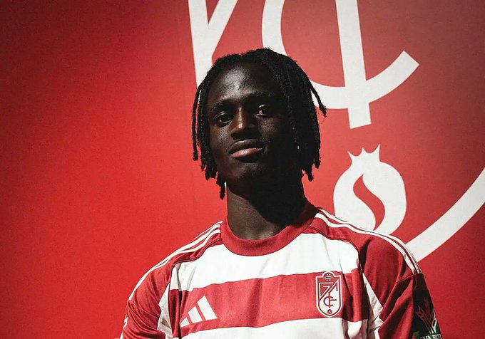 GRADA B pro tweet media