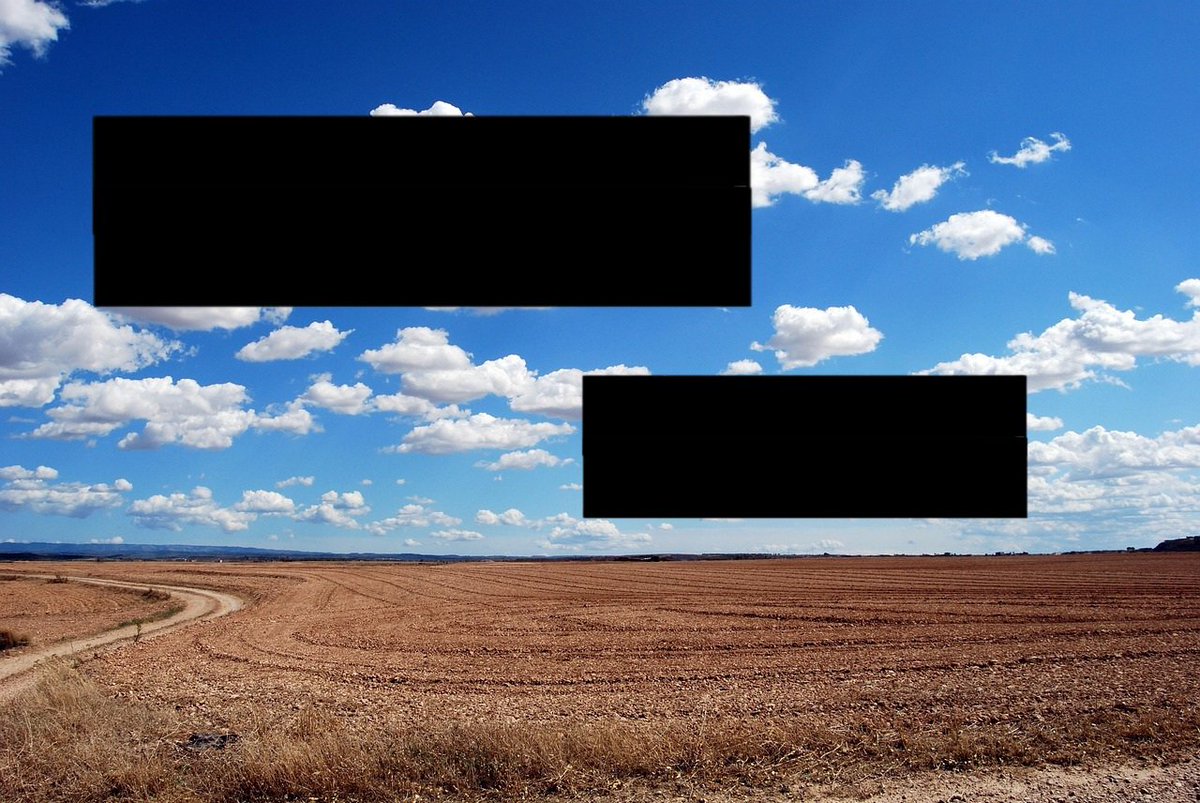 Planet Of Memes tweet media