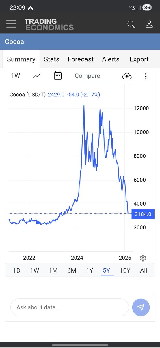 Guineapig™ tweet media