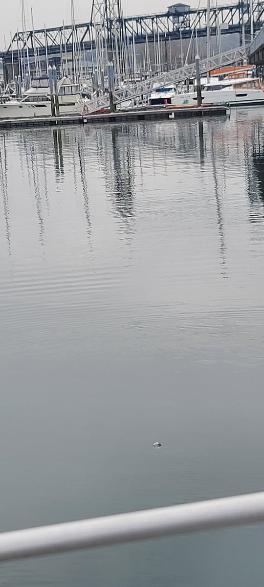 Random Art Drops tweet media