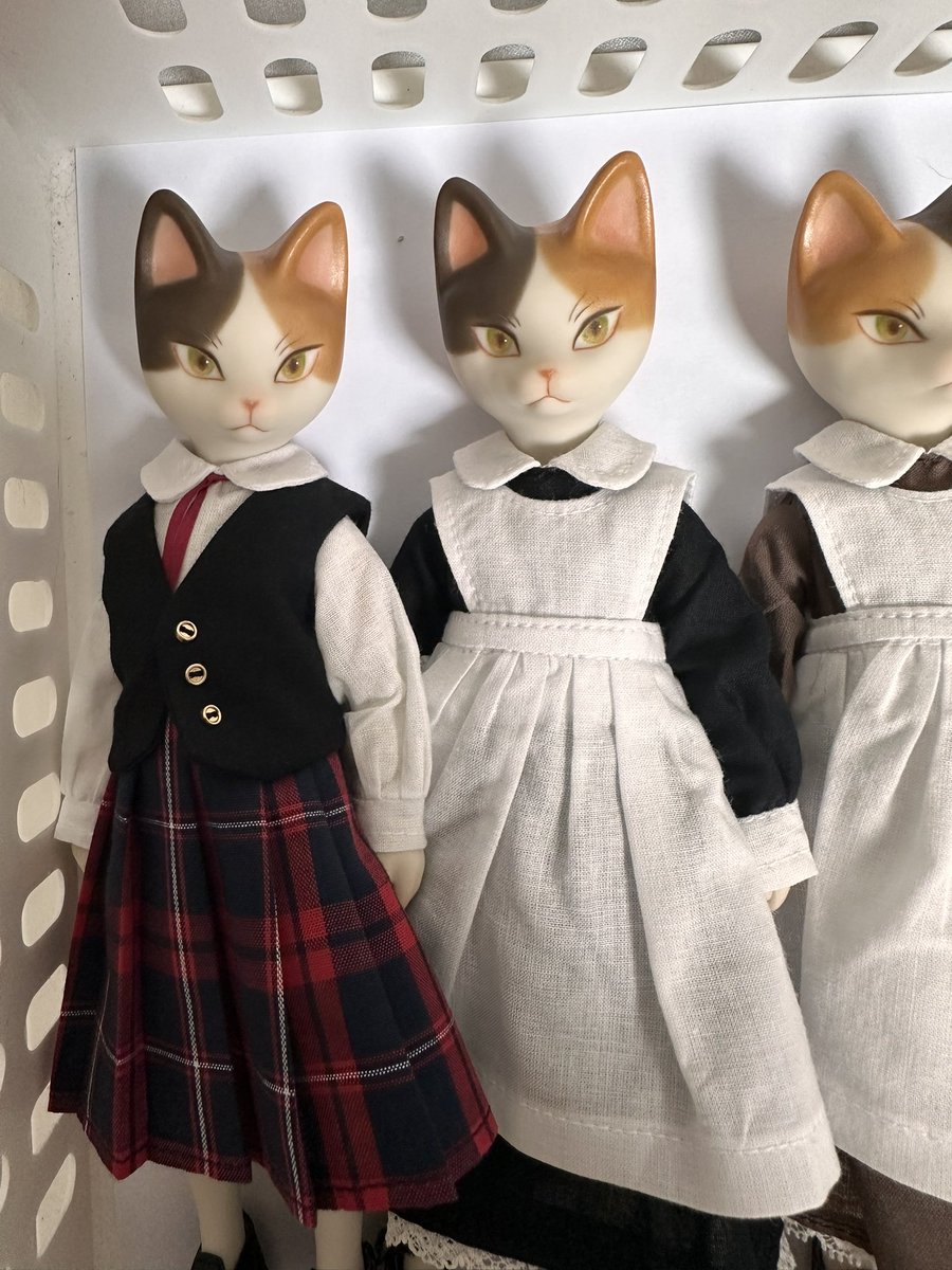 🍄cocoroico🍄 tweet media