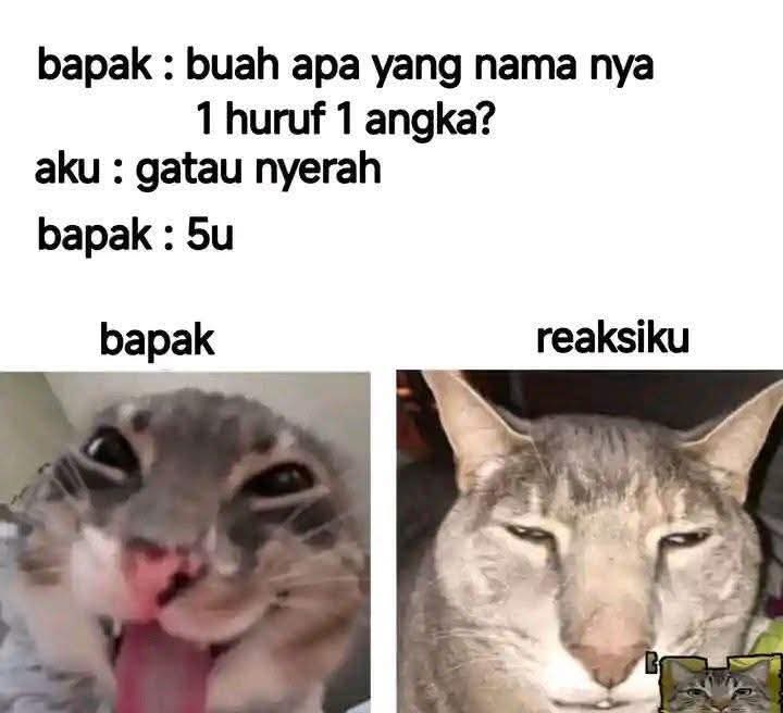 Ketawa itu GRATIS 🛩 (@kucengterbanggg) on Twitter photo 