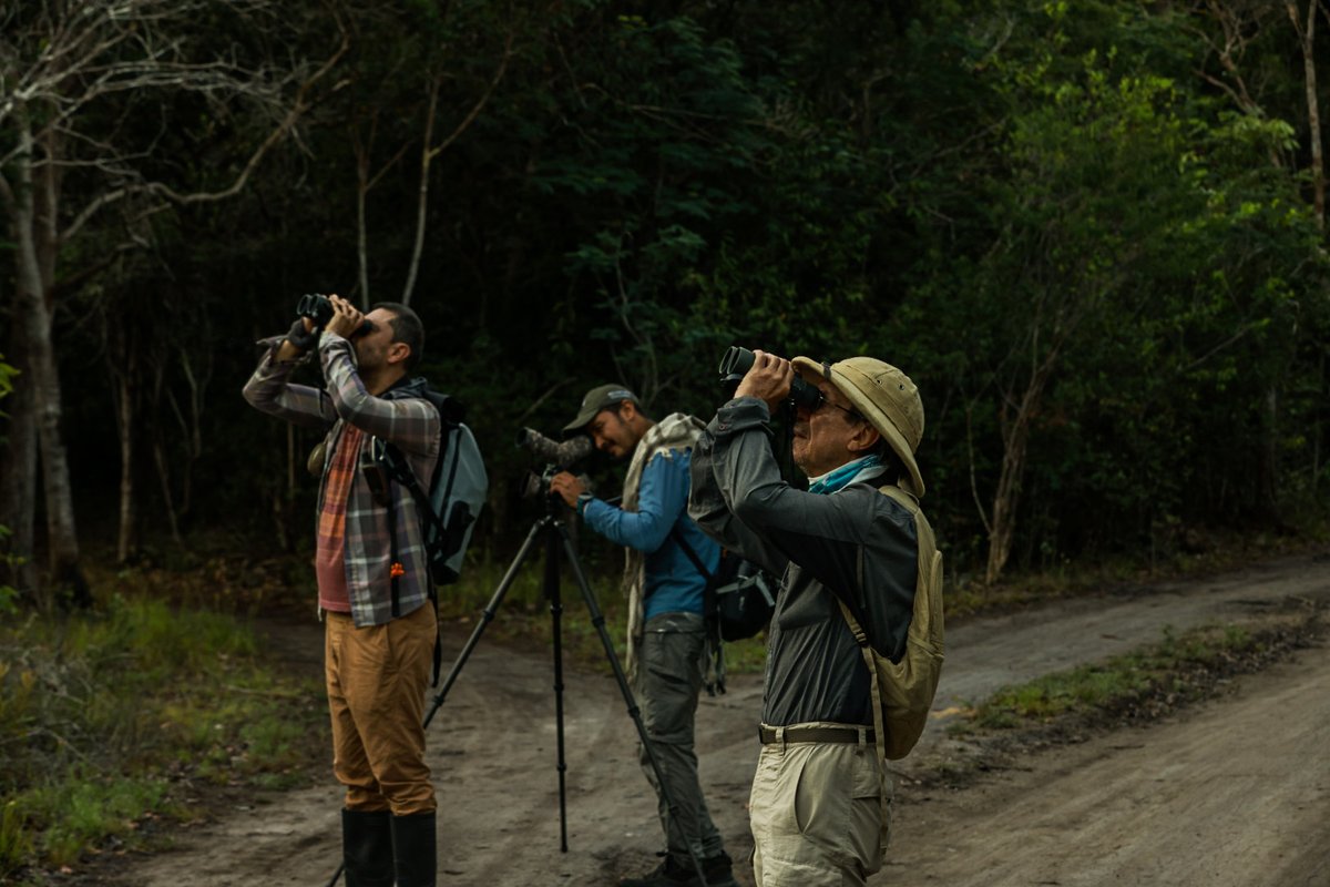 #LoPositivodelaSemana | No todo en las noticias es negativo. También hay historias que inspiran y vale la pena destacar. Esta semana hablamos de: una nueva especie de ave en Colombia; un colombiano que comparte nuestra gastronomía en Australia; el río considerado el “más hermoso