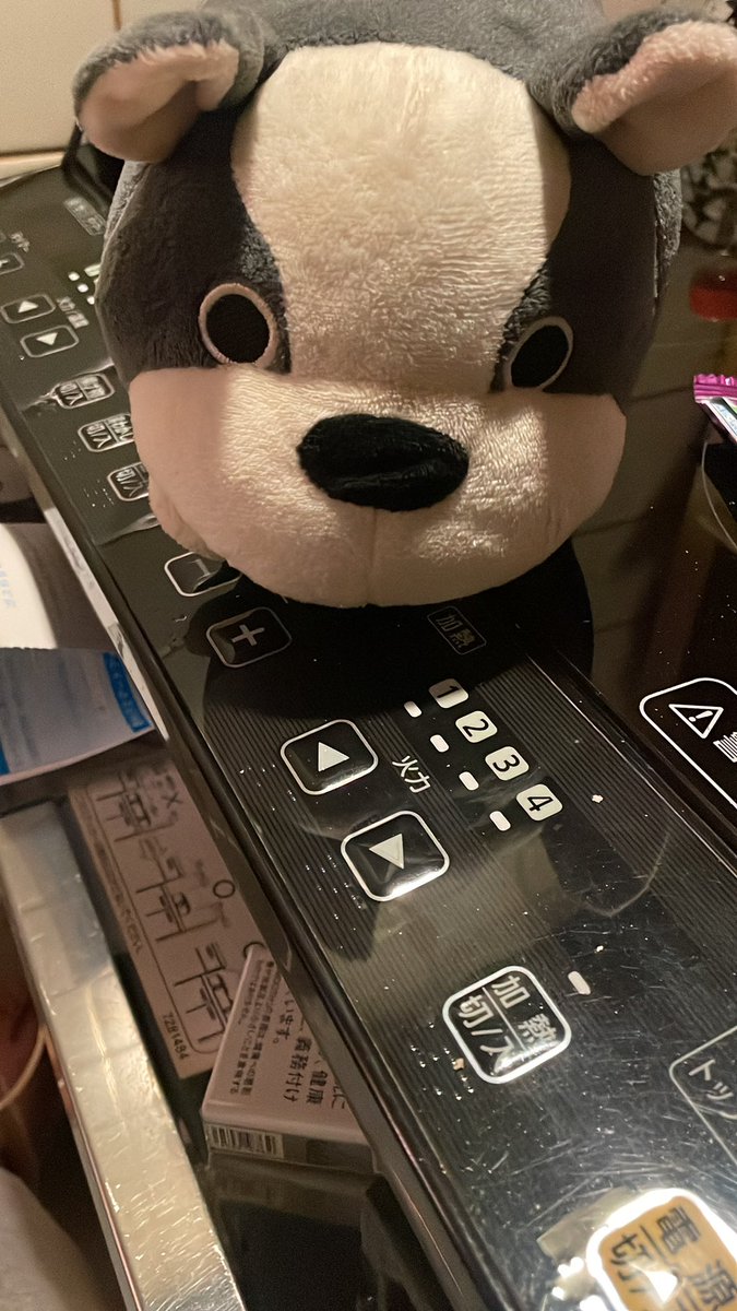 イッコーちゃんが可愛すぎて、つらい。