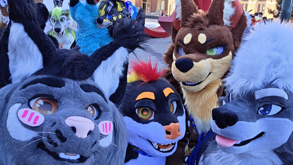 Krym🐾 tweet media