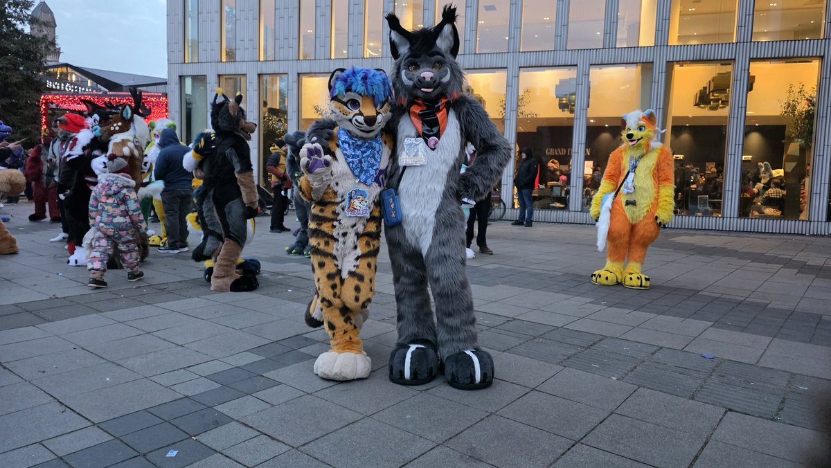 Krym🐾 tweet media