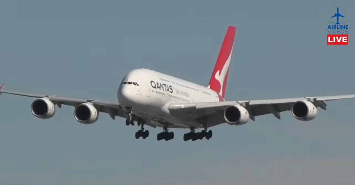 airlinevideos's tweet image. WE’VE GOT YOU COVERED WITH HEAVY ACTION AT LAX ✈️✈️ JOIN US LIVE NOW! #aviation #planes #heavies 

🔴LIVE LOS ANGELES (LAX) AIRPORT ACTION! (February 20th, 2026) youtube.com/live/lz8F-GPGp… via @YouTube
