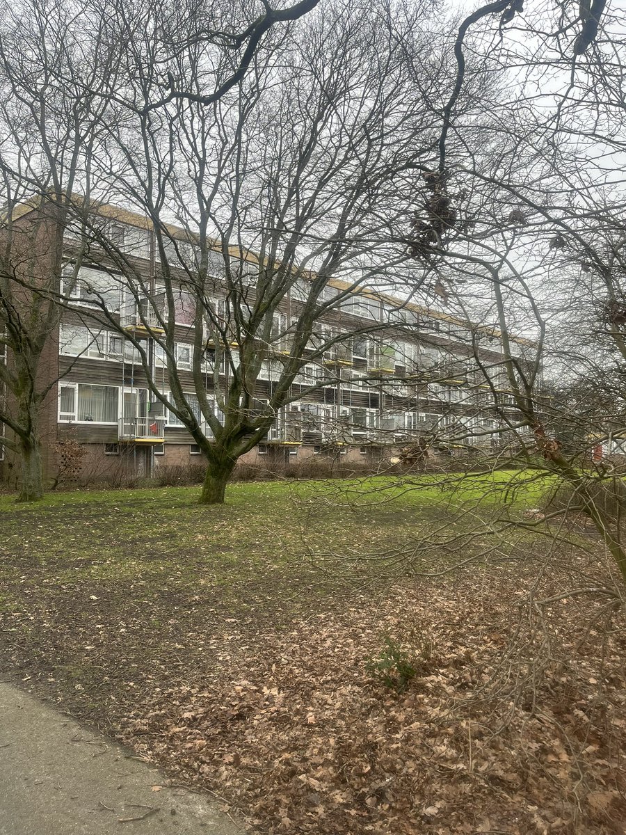 Amstelveen heeft nog maar heel weinig sociale huurwoningen. Ondanks dat worden deze drie flats aan de lindenlaan gesloopt om plaats te maken voor luxe appartementen voor expats. Tot die tijd worden hier zo’n 90 Syrische jongeren in geplaatst.