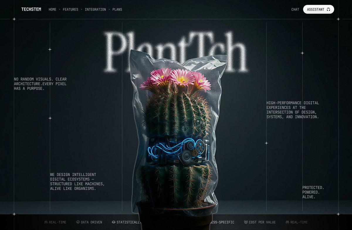 Marina Budarina tweet media