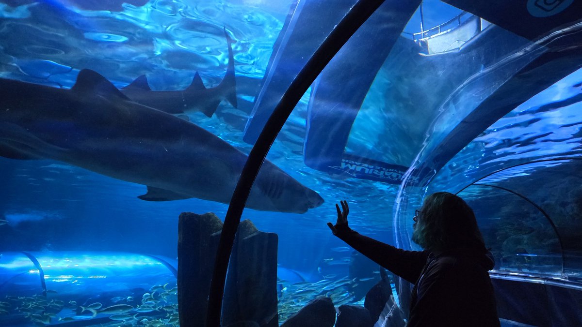 casey is a werepastry 🌙🥐 tweet media