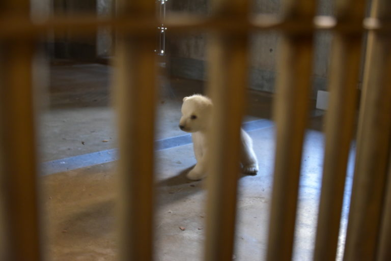 Go tag them under this tweet so they notice us

$Komomo