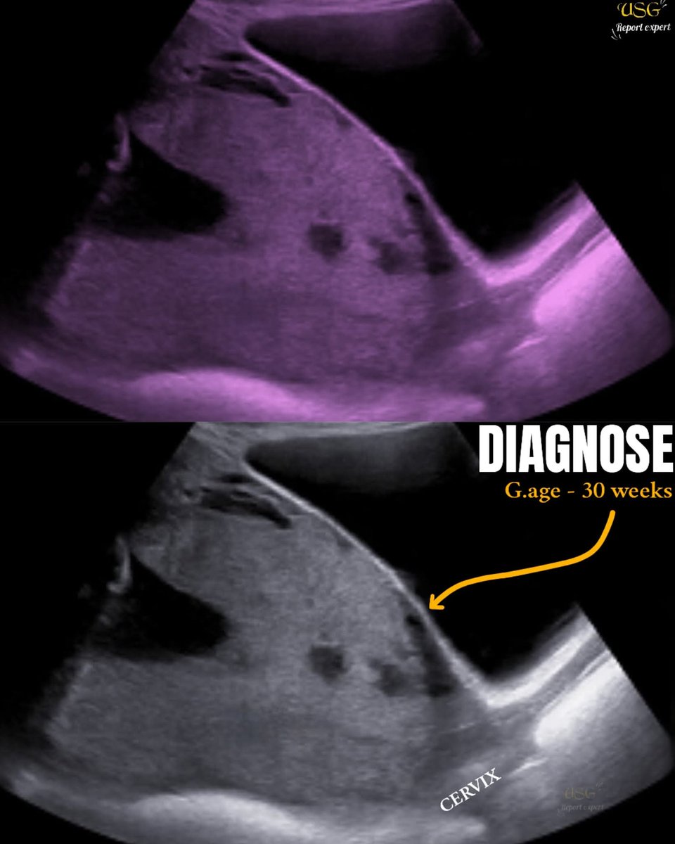 EchoTech tweet media