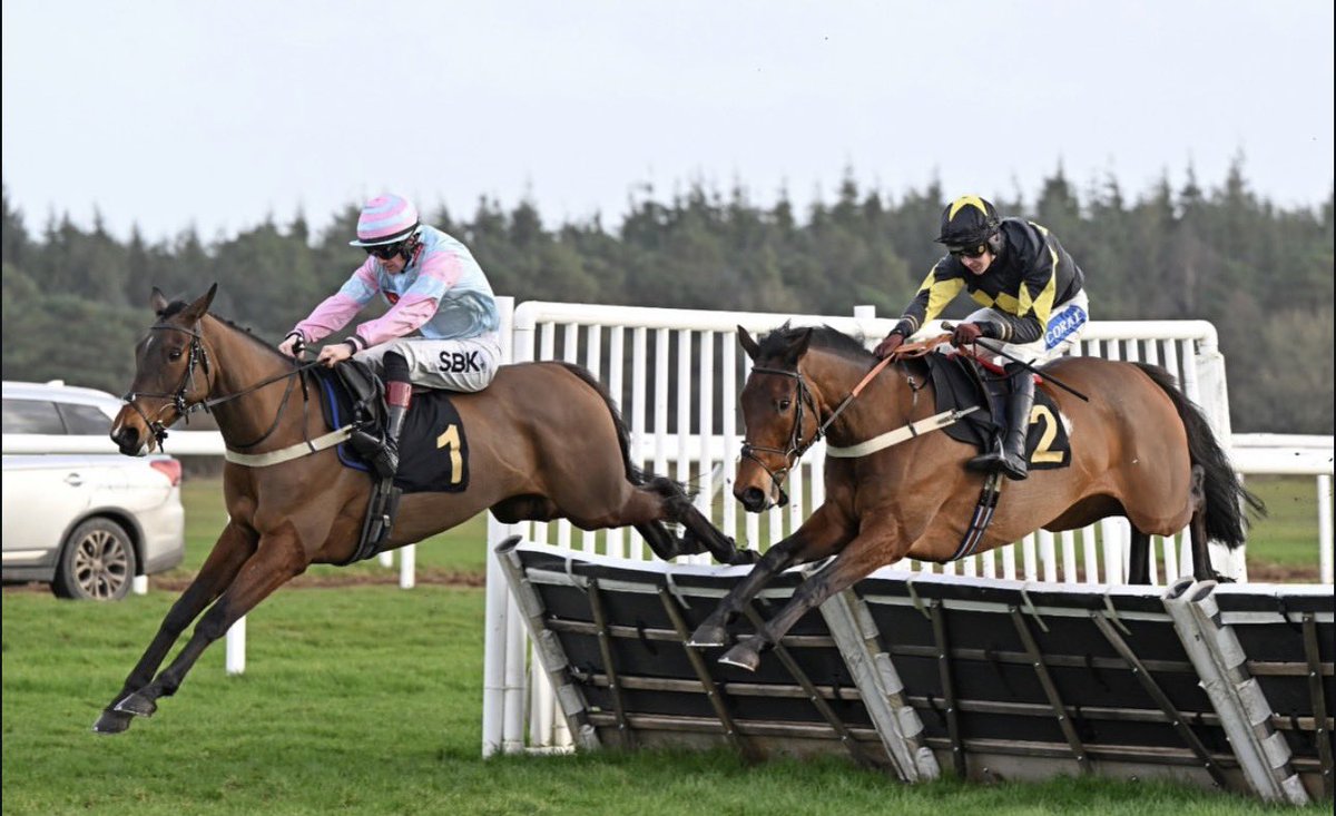 WINNER 🥇 
    Game Colours scores decisively in the hands of <a href="/samtwiston/">Sam Twiston-Davies</a> <a href="/ExeterRaces/">Exeter Racecourse</a> . A tough genuine mare who has finished in the first 3 in each of her last 11 starts.