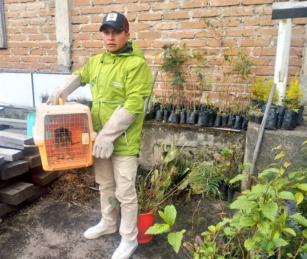 Dirección Zonal 1 MAE Imbabura - Carchi tweet media