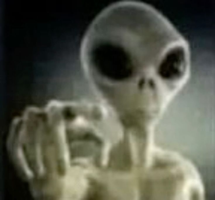 telopsia tweet media